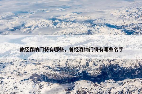 曾经森纳门将有哪些，曾经森纳门将有哪些名字