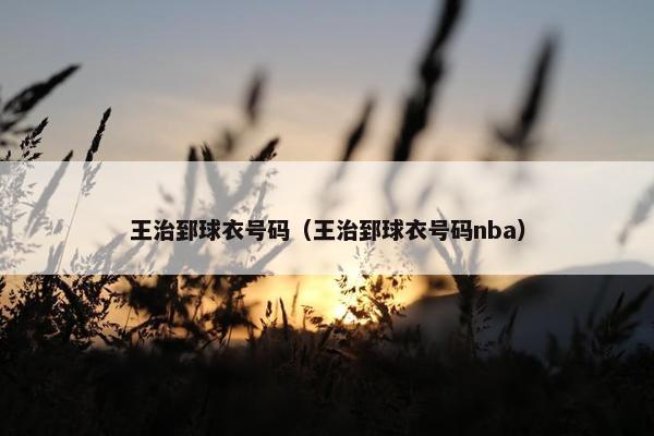 王治郅球衣号码（王治郅球衣号码nba）