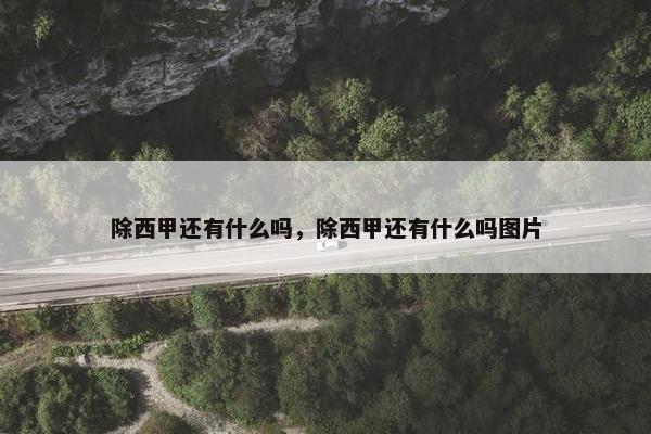 除西甲还有什么吗，除西甲还有什么吗图片