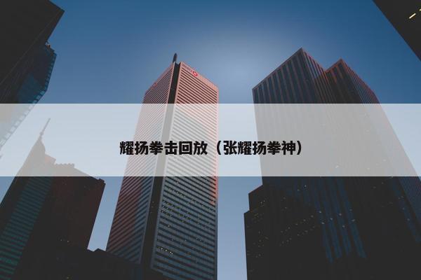 耀扬拳击回放（张耀扬拳神）