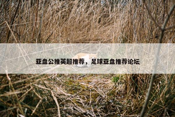 亚盘公推英超推荐，足球亚盘推荐论坛