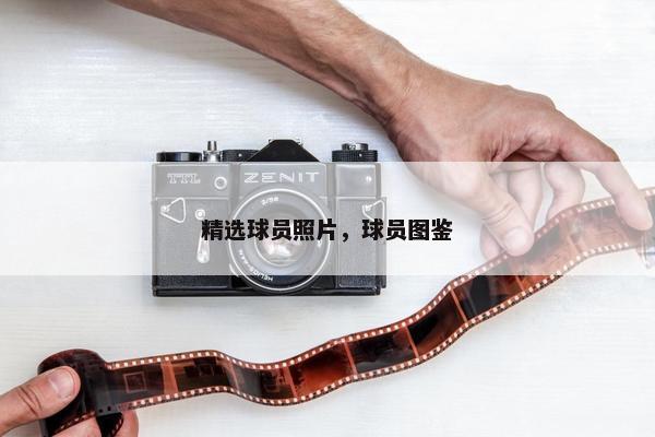 精选球员照片，球员图鉴