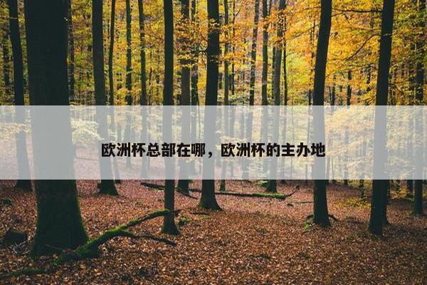 欧洲杯总部在哪，欧洲杯的主办地