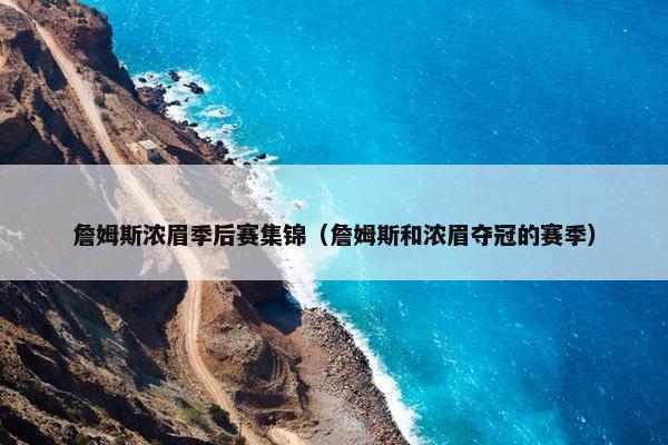 詹姆斯浓眉季后赛集锦（詹姆斯和浓眉夺冠的赛季）