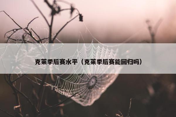 克莱季后赛水平（克莱季后赛能回归吗）