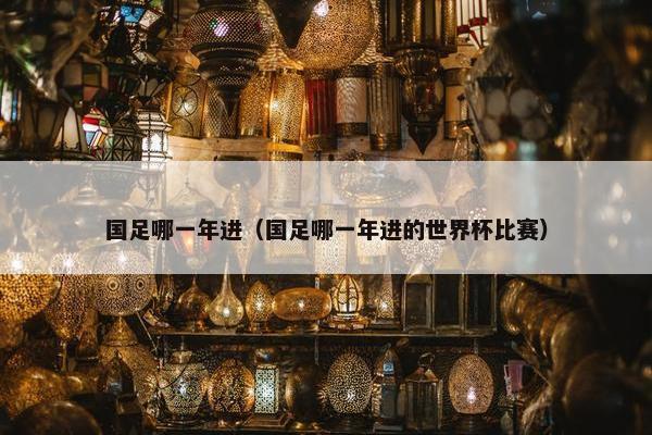 国足哪一年进（国足哪一年进的世界杯比赛）