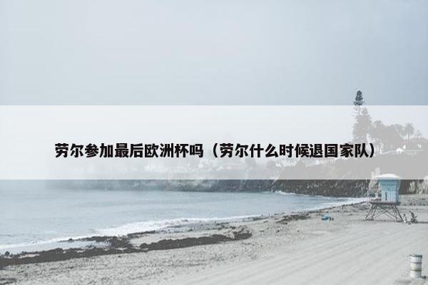 劳尔参加最后欧洲杯吗（劳尔什么时候退国家队）
