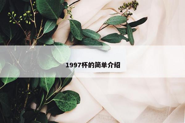 1997杯的简单介绍