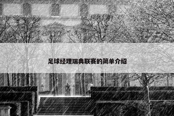 足球经理瑞典联赛的简单介绍