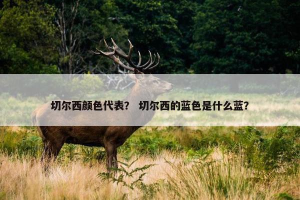 切尔西颜色代表？ 切尔西的蓝色是什么蓝？