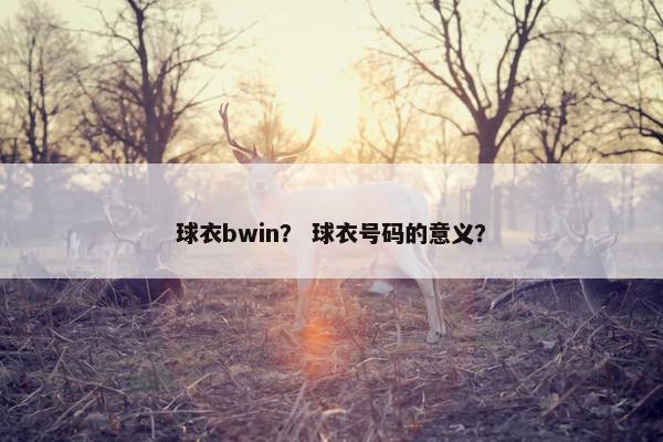 球衣bwin？ 球衣号码的意义？