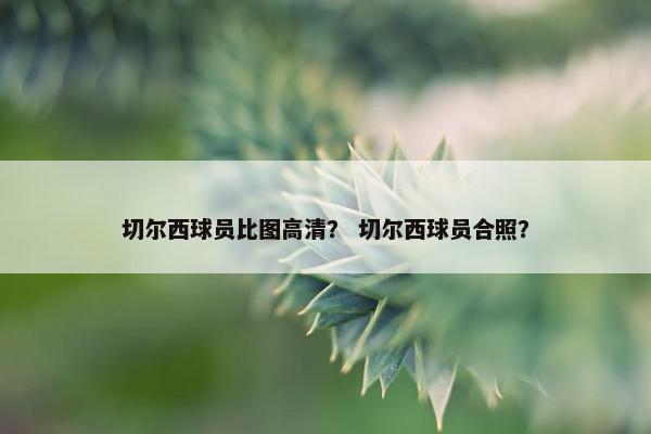 切尔西球员比图高清？ 切尔西球员合照？