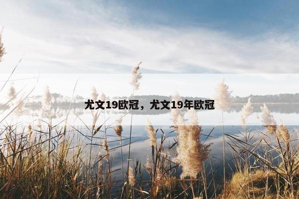 尤文19欧冠，尤文19年欧冠