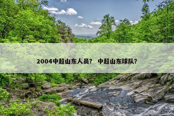2004中超山东人员？ 中超山东球队？