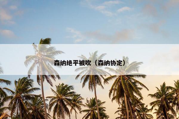 森纳绝平被吹（森纳协定）