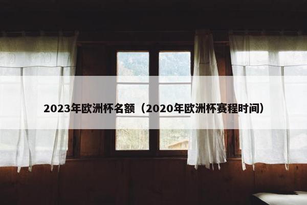 2023年欧洲杯名额（2020年欧洲杯赛程时间）