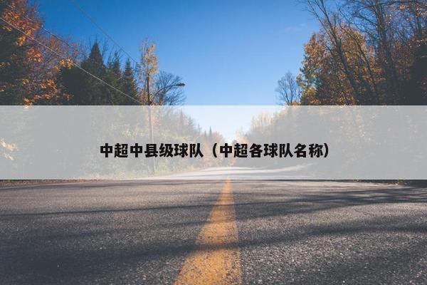 中超中县级球队（中超各球队名称）