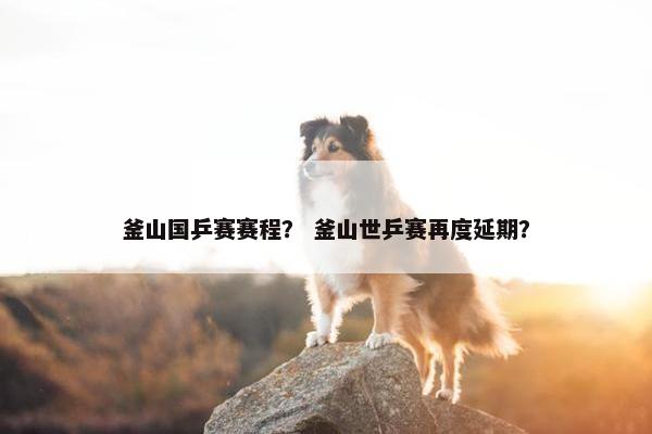 釜山国乒赛赛程？ 釜山世乒赛再度延期？
