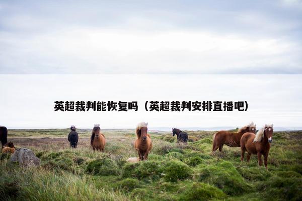 英超裁判能恢复吗（英超裁判安排直播吧）