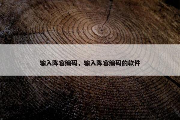 输入阵容编码，输入阵容编码的软件