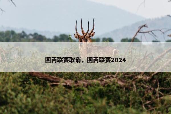 围丙联赛取消，围丙联赛2024