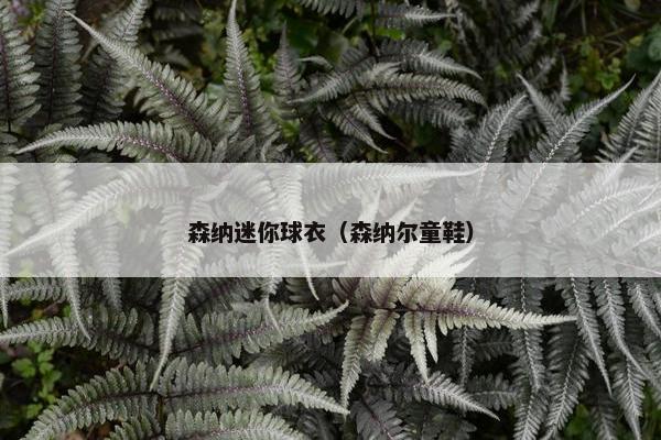 森纳迷你球衣（森纳尔童鞋）