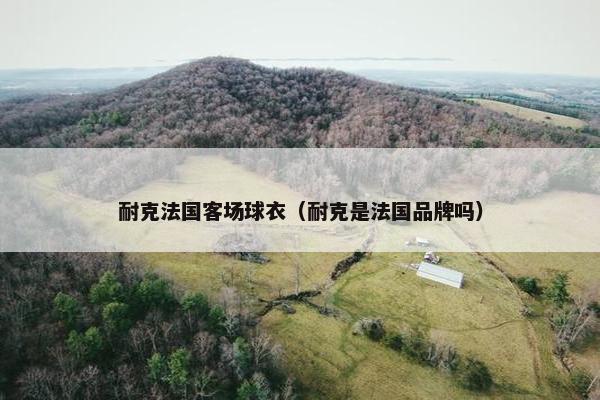 耐克法国客场球衣（耐克是法国品牌吗）
