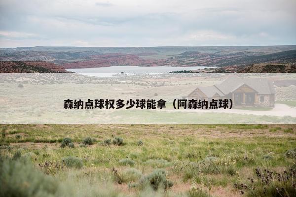 森纳点球权多少球能拿（阿森纳点球）