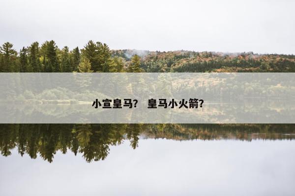 小宣皇马？ 皇马小火箭？