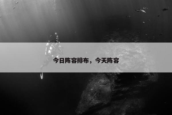 今日阵容排布，今天阵容