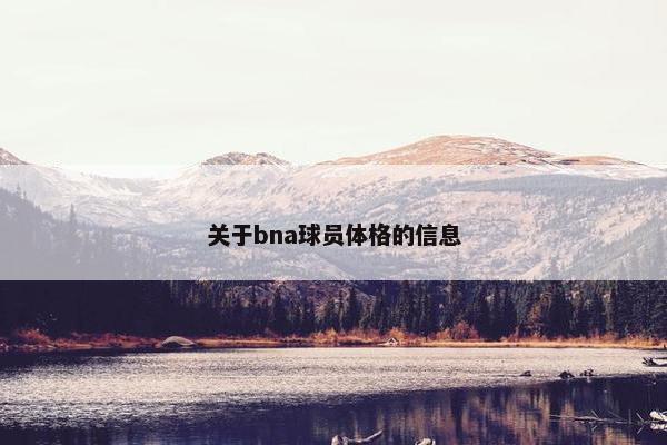 关于bna球员体格的信息