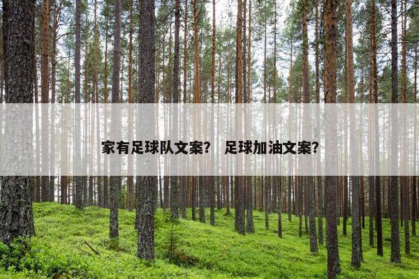 家有足球队文案？ 足球加油文案？
