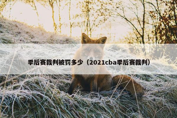季后赛裁判被罚多少（2021cba季后赛裁判）