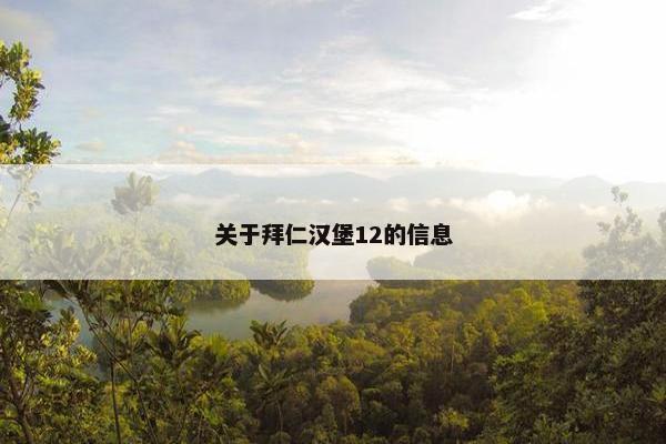 关于拜仁汉堡12的信息