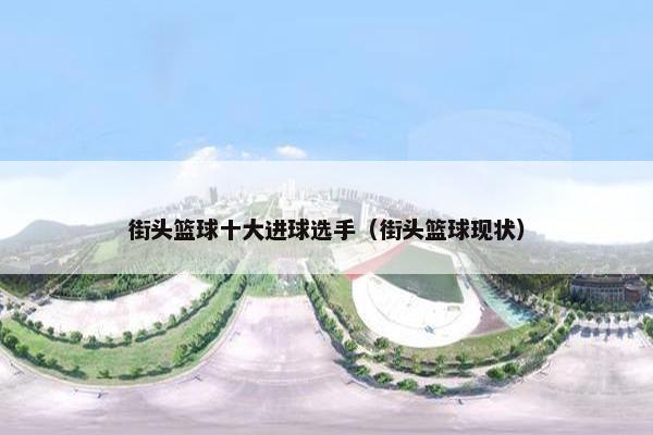 街头篮球十大进球选手（街头篮球现状）