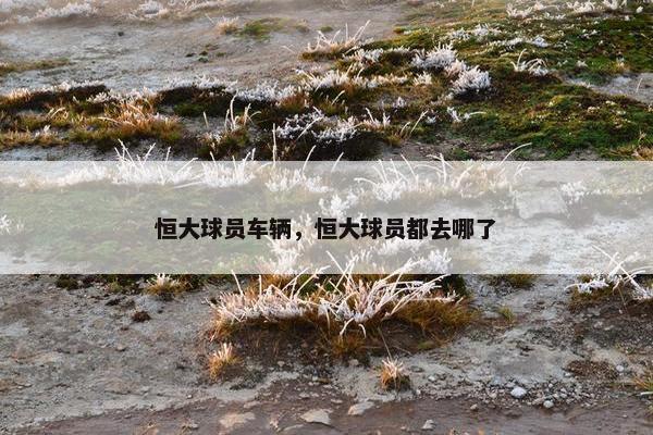 恒大球员车辆，恒大球员都去哪了