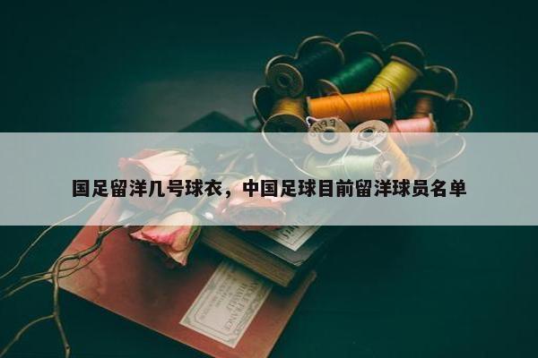 国足留洋几号球衣，中国足球目前留洋球员名单