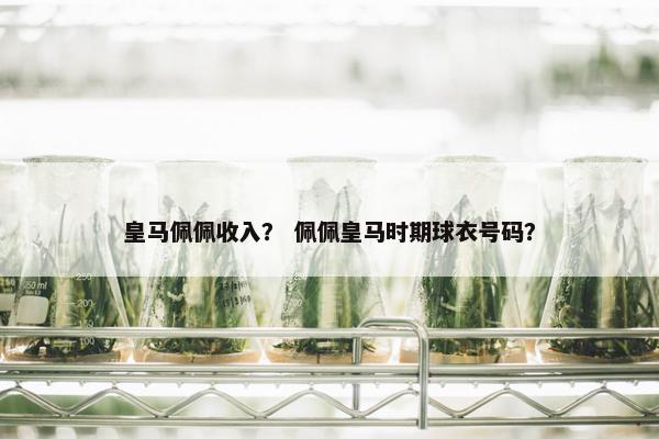 皇马佩佩收入？ 佩佩皇马时期球衣号码？
