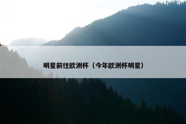 明星前往欧洲杯（今年欧洲杯明星）