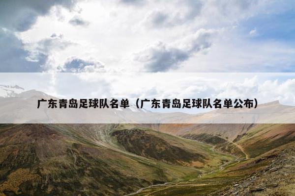 广东青岛足球队名单（广东青岛足球队名单公布）