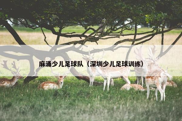 麻涌少儿足球队（深圳少儿足球训练）