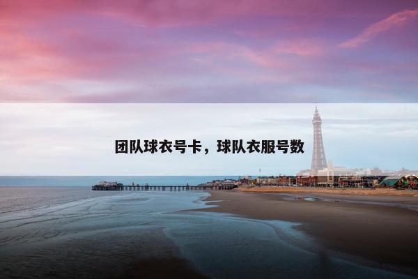 团队球衣号卡，球队衣服号数