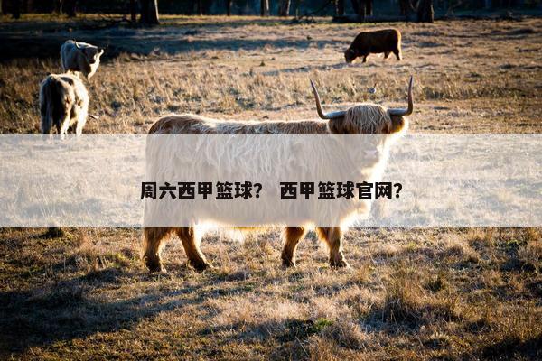 周六西甲篮球？ 西甲篮球官网？