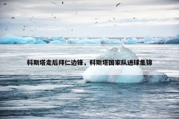 科斯塔走后拜仁边锋，科斯塔国家队进球集锦