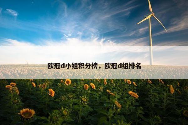 欧冠d小组积分榜，欧冠d组排名