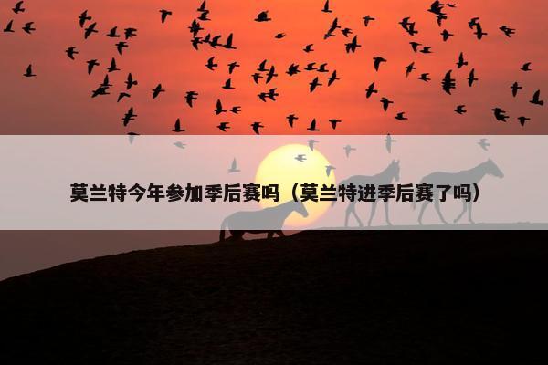 莫兰特今年参加季后赛吗（莫兰特进季后赛了吗）