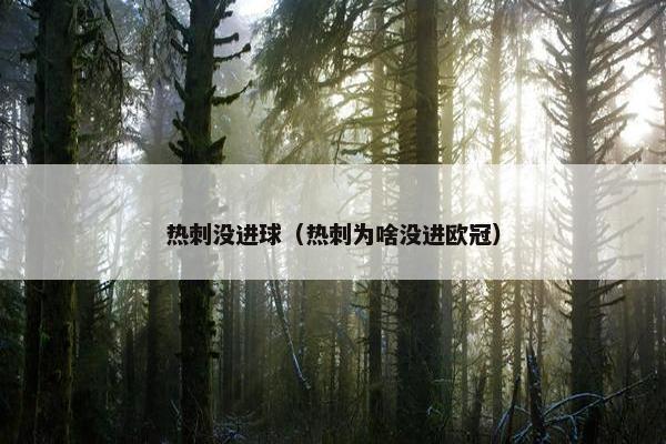 热刺没进球（热刺为啥没进欧冠）