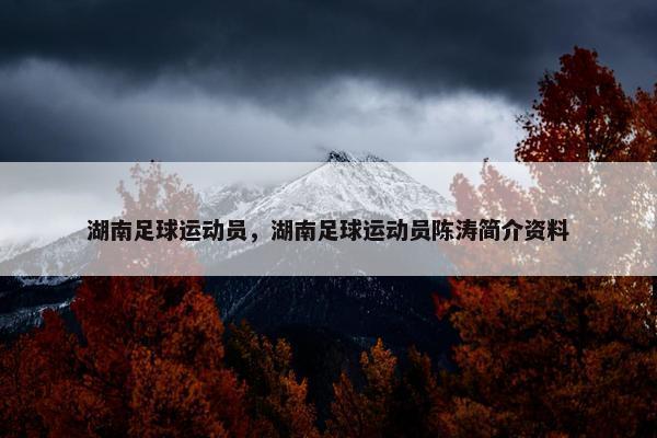 湖南足球运动员，湖南足球运动员陈涛简介资料