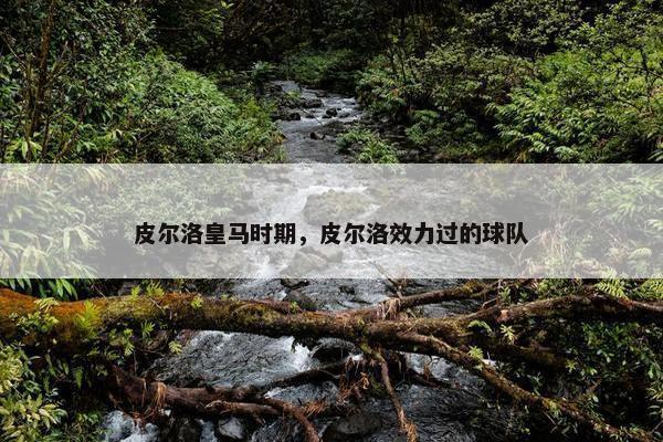 皮尔洛皇马时期，皮尔洛效力过的球队