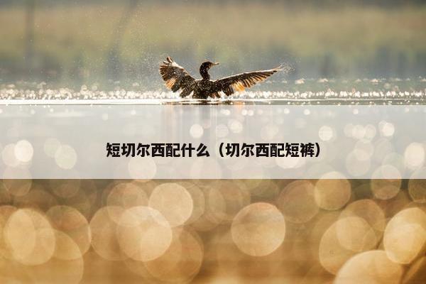 短切尔西配什么（切尔西配短裤）